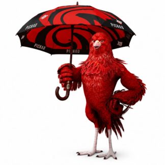 Guarda chuva